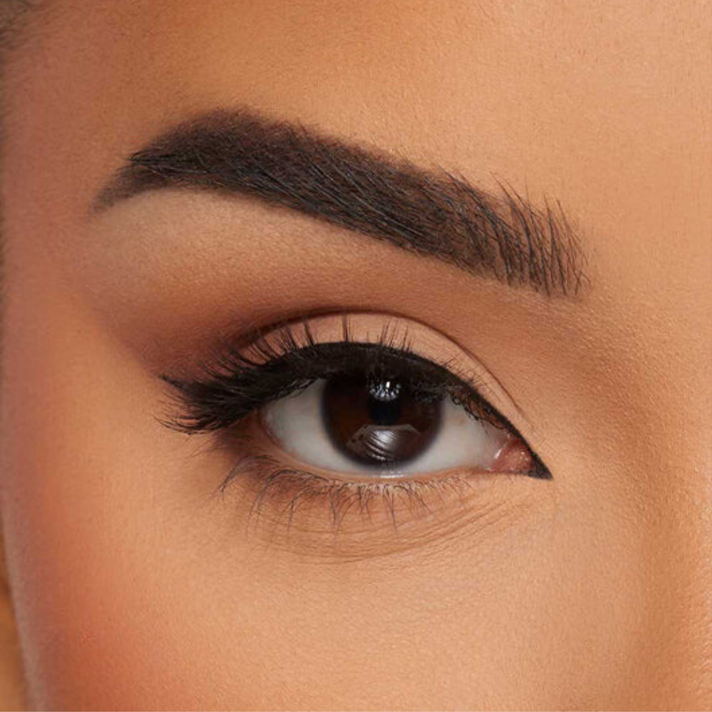 Magnetic Eyelashes & Eyeliner